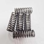 EBC - Clutch Springs - CRF250 11-20