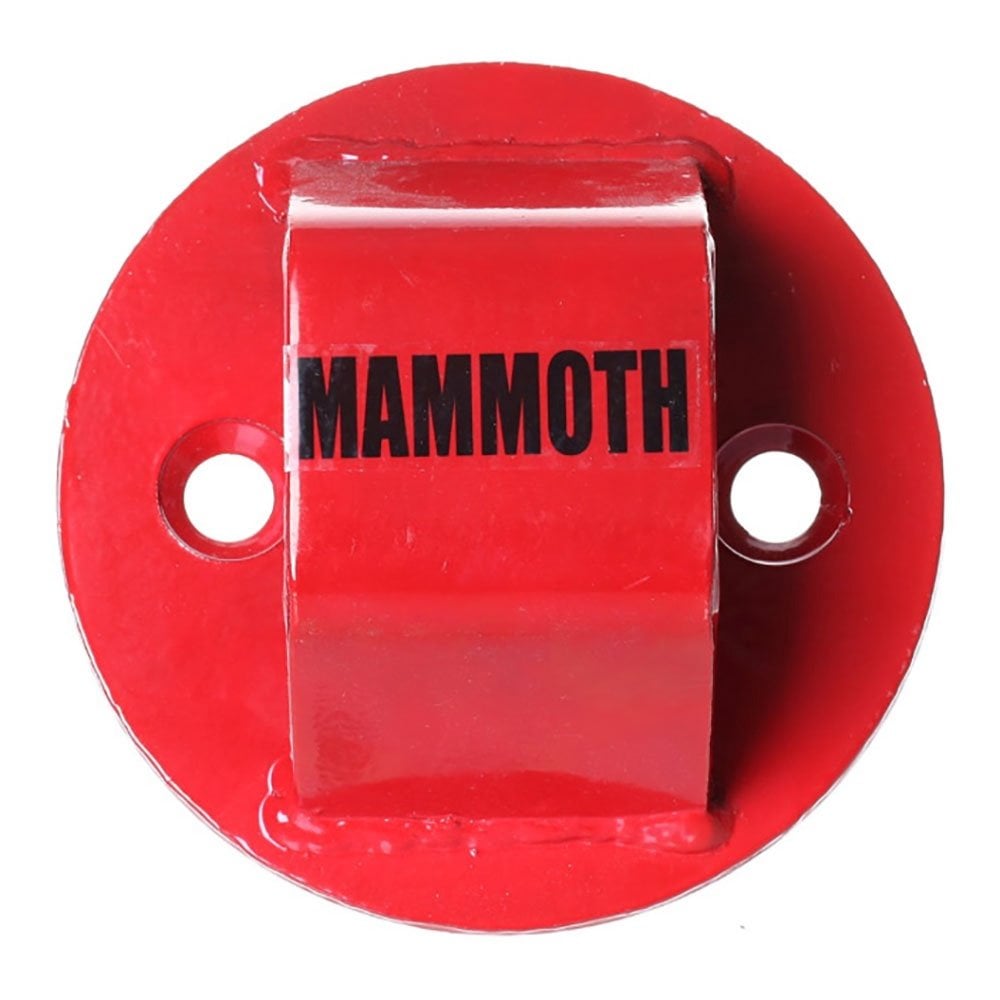 Mammoth (Security) Ground Anchor - Bolt-In Junior