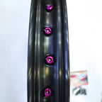 SM Pro - Platinum Wheel (Rear) - 19” x 1.40 - Sur-Ron