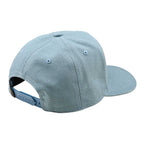 Troy Lee Cap, Curved Snapback - STAMP