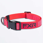 FXR (MX26) Dog Collar (Razz/Black)
