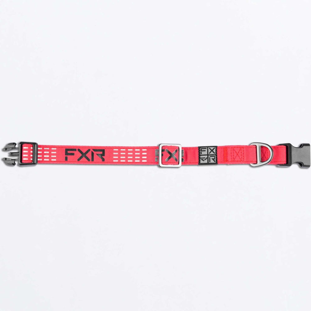 FXR (MX26) Dog Collar (Razz/Black)