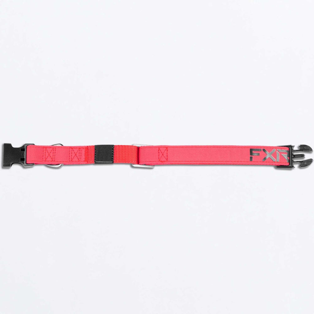FXR (MX26) Dog Collar (Razz/Black)