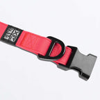 FXR (MX26) Dog Collar (Razz/Black)