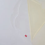 LS2 (Pinlock) FF808/FF820 - Clear (DKS521)