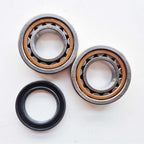 EngineWorx - Crank/Main Bearing & Seal Kit - Sherco SE250/300 10-13