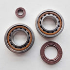 EngineWorx - Crank/Main Bearing & Seal Kit - KTM SX400 01-02, SX450 03-06. SXS450 03-04, SXS540 2001 (24-1106)