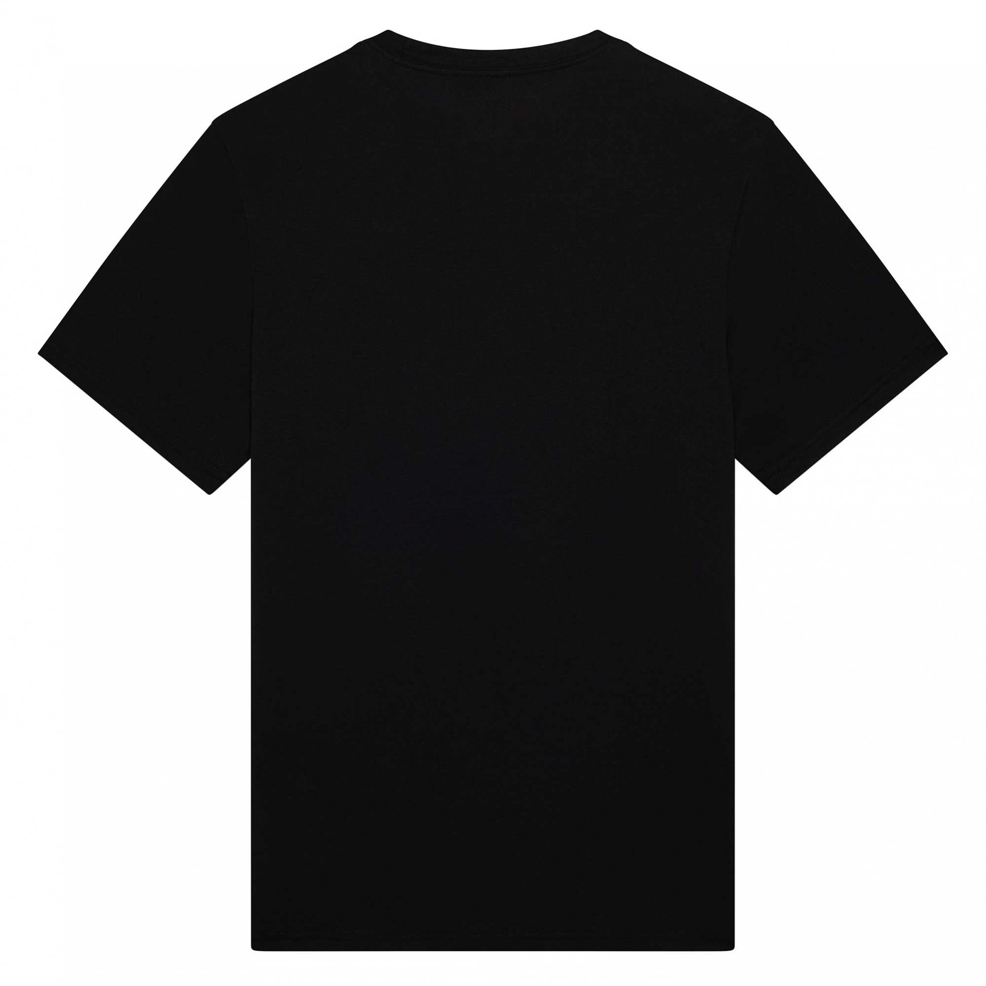 FOX Racing Mens T-Shirt - DIFFUSE DRI-Release SS TEE (Black)