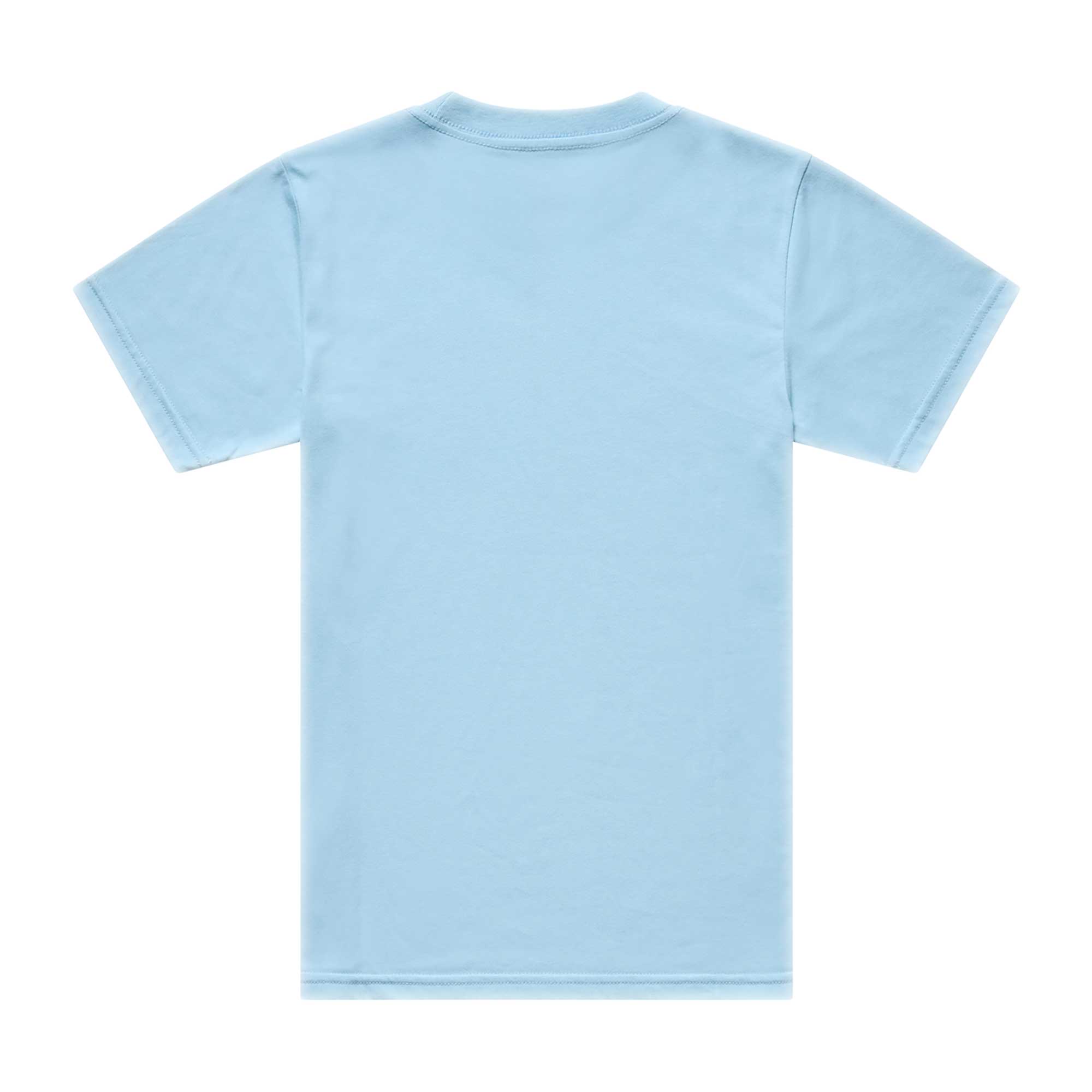 Troy Lee Designs Youth T-Shirt - SIGNATURE (Dawn Blue)