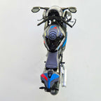 New Ray Toys - 1:12 - ROAD - BMW M1000RR